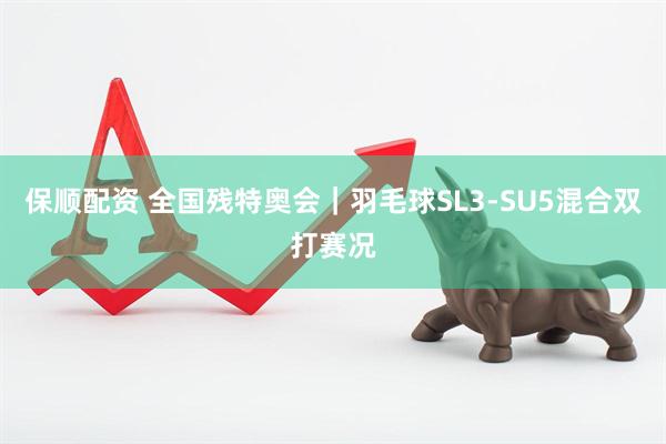 保顺配资 全国残特奥会｜羽毛球SL3-SU5混合双打赛况