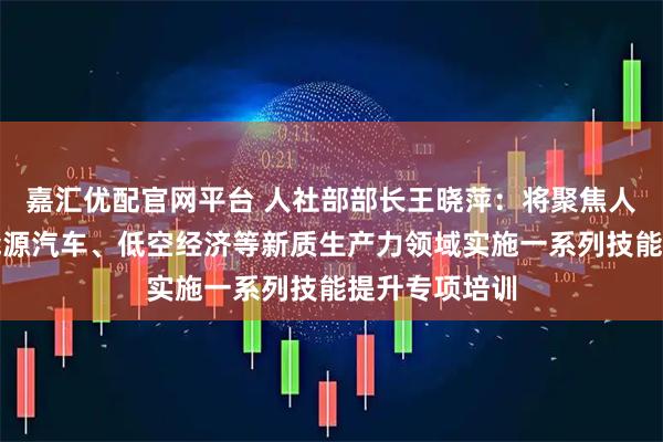 嘉汇优配官网平台 人社部部长王晓萍：将聚焦人工智能、新能源汽车、低空经济等新质生产力领域实施一系列技能提升专项培训