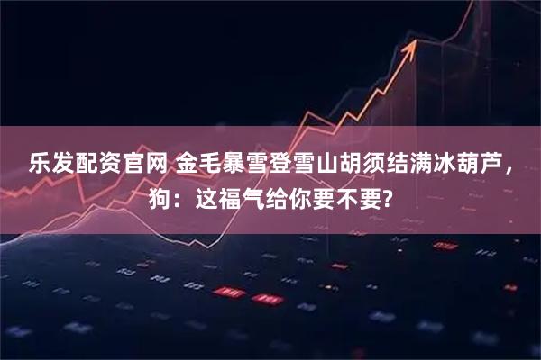 乐发配资官网 金毛暴雪登雪山胡须结满冰葫芦，狗：这福气给你要不要?