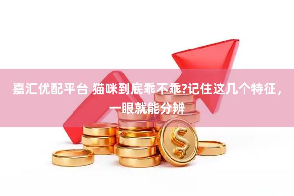 嘉汇优配平台 猫咪到底乖不乖?记住这几个特征，一眼就能分辨