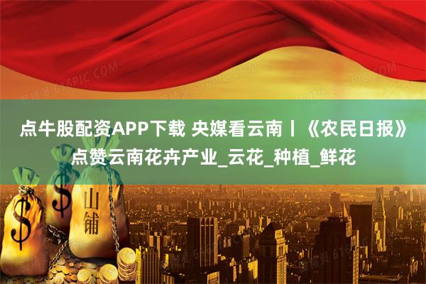 点牛股配资APP下载 央媒看云南丨《农民日报》点赞云南花卉产业_云花_种植_鲜花