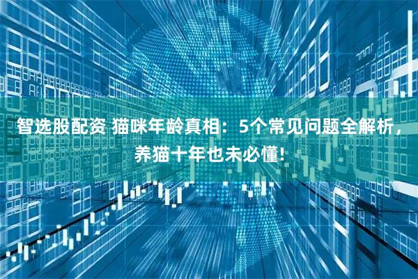 智选股配资 猫咪年龄真相：5个常见问题全解析，养猫十年也未必懂!