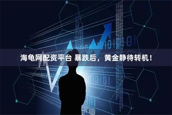 海龟网配资平台 暴跌后，黄金静待转机！