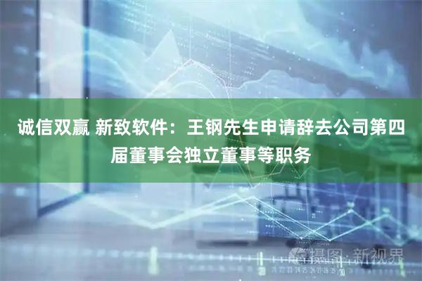 诚信双赢 新致软件：王钢先生申请辞去公司第四届董事会独立董事等职务